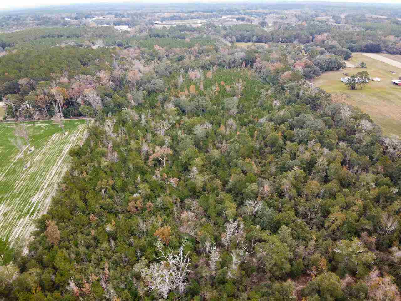 Vacant Magnolia Ridge Monticello, FL 32344 - Photo 14 of 18 Gallery Image 14