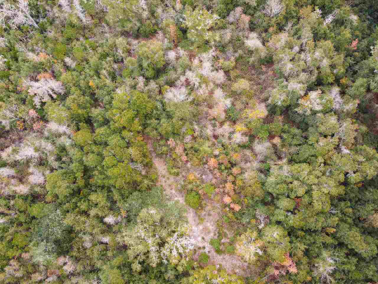 Vacant Magnolia Ridge Monticello, FL 32344 - Photo 16 of 18 Gallery Image 16