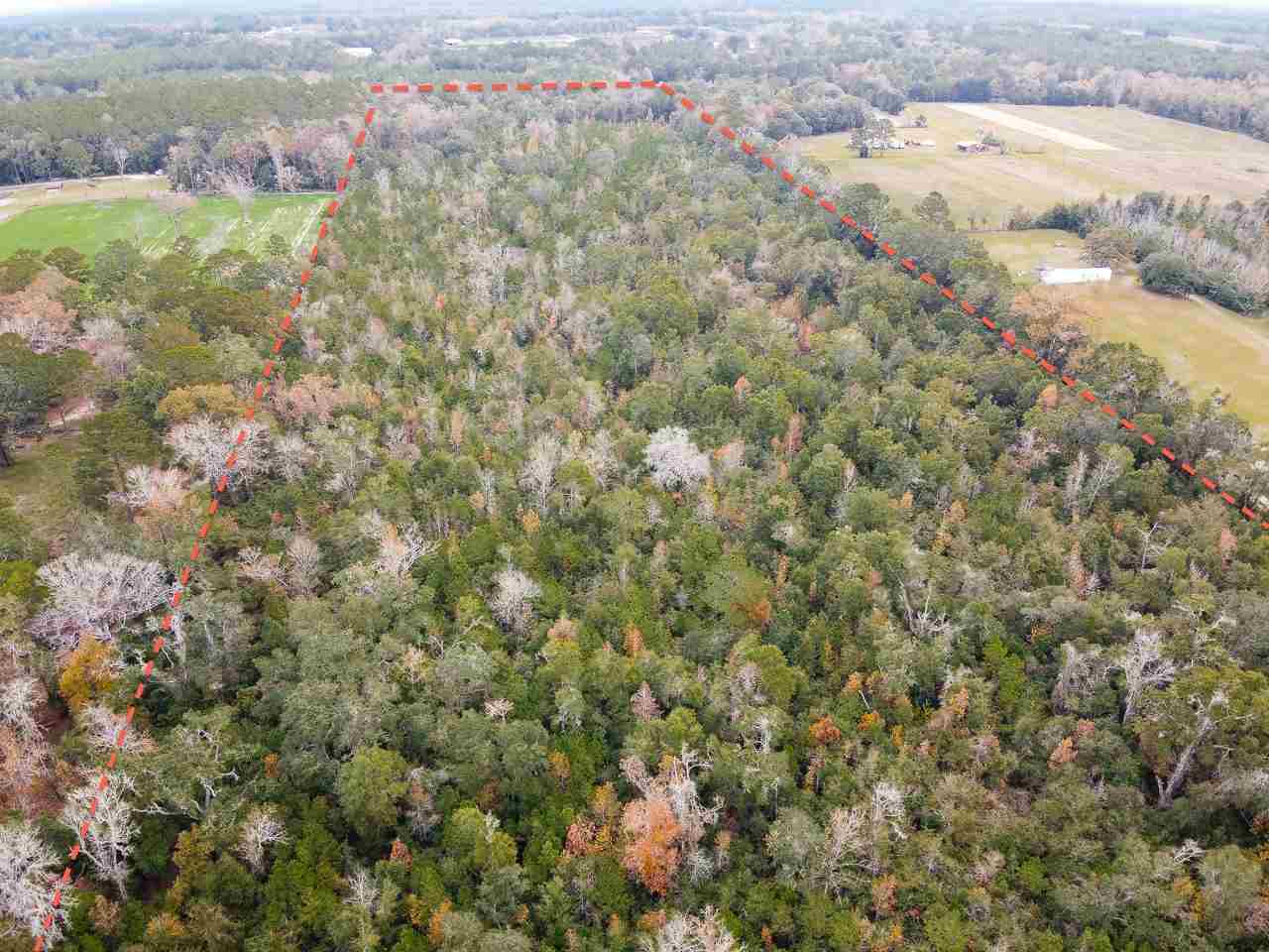 Vacant Magnolia Ridge Monticello, FL 32344 - Photo 17 of 18 Gallery Image 17