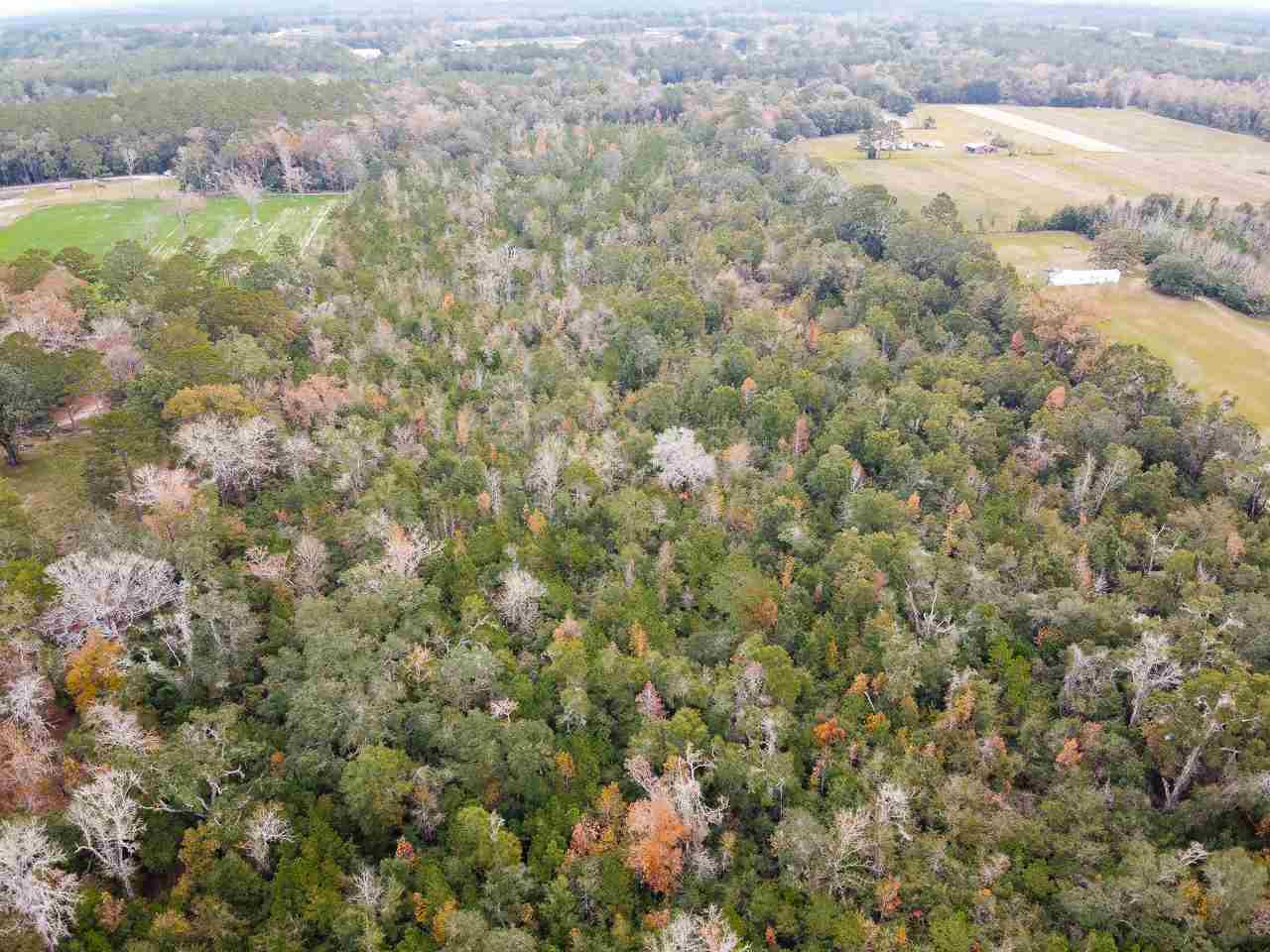 Vacant Magnolia Ridge Monticello, FL 32344 - Photo 18 of 18 Gallery Image 18
