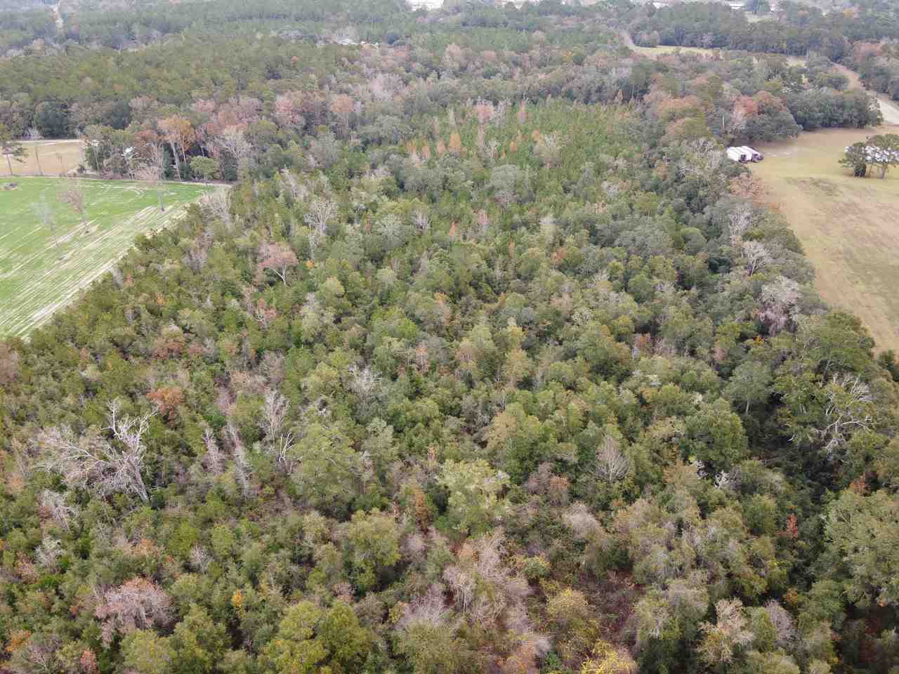 Vacant Magnolia Ridge Monticello, FL 32344 - Photo 4 of 18 Gallery Image 4