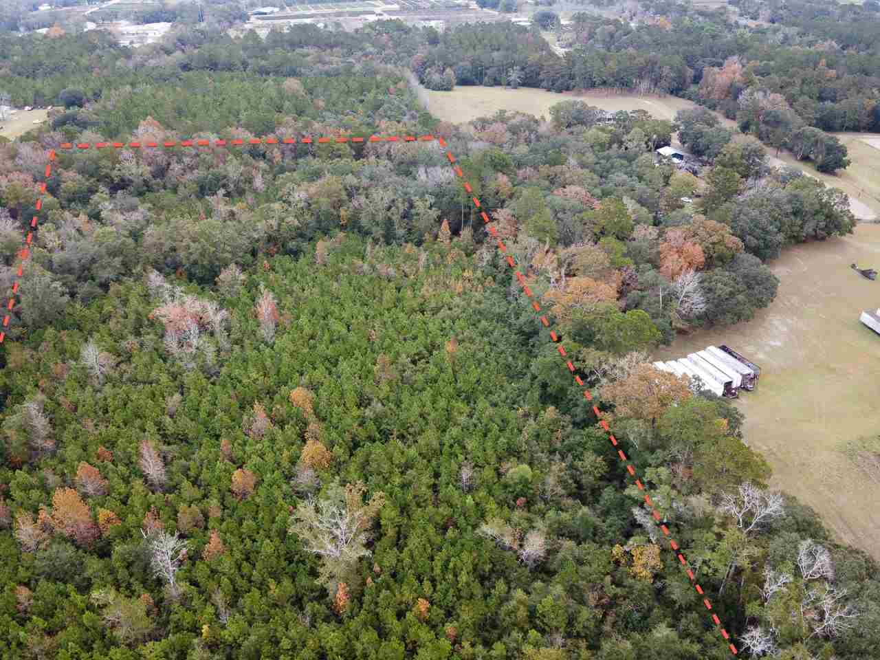 Vacant Magnolia Ridge Monticello, FL 32344 - Photo 7 of 18 Gallery Image 7