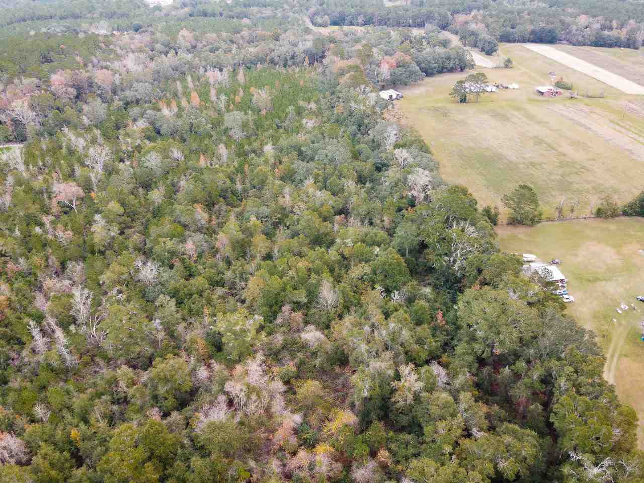 Vacant Magnolia Ridge Monticello, FL 32344 - Photo 8 of 18 Gallery Image 8