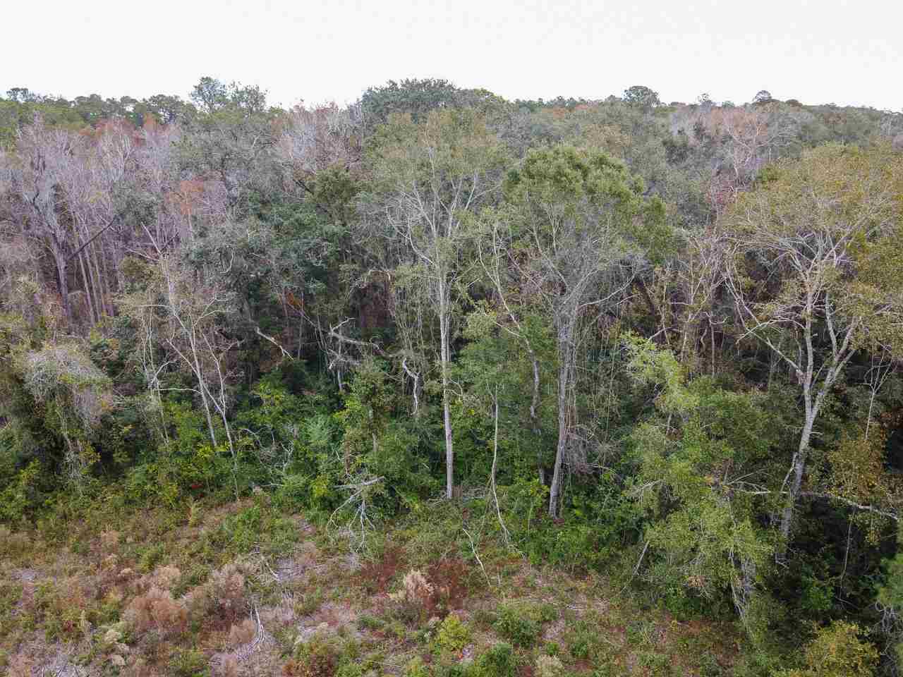Vacant Magnolia Ridge Monticello, FL 32344 - Photo 10 of 18 Gallery Image 10