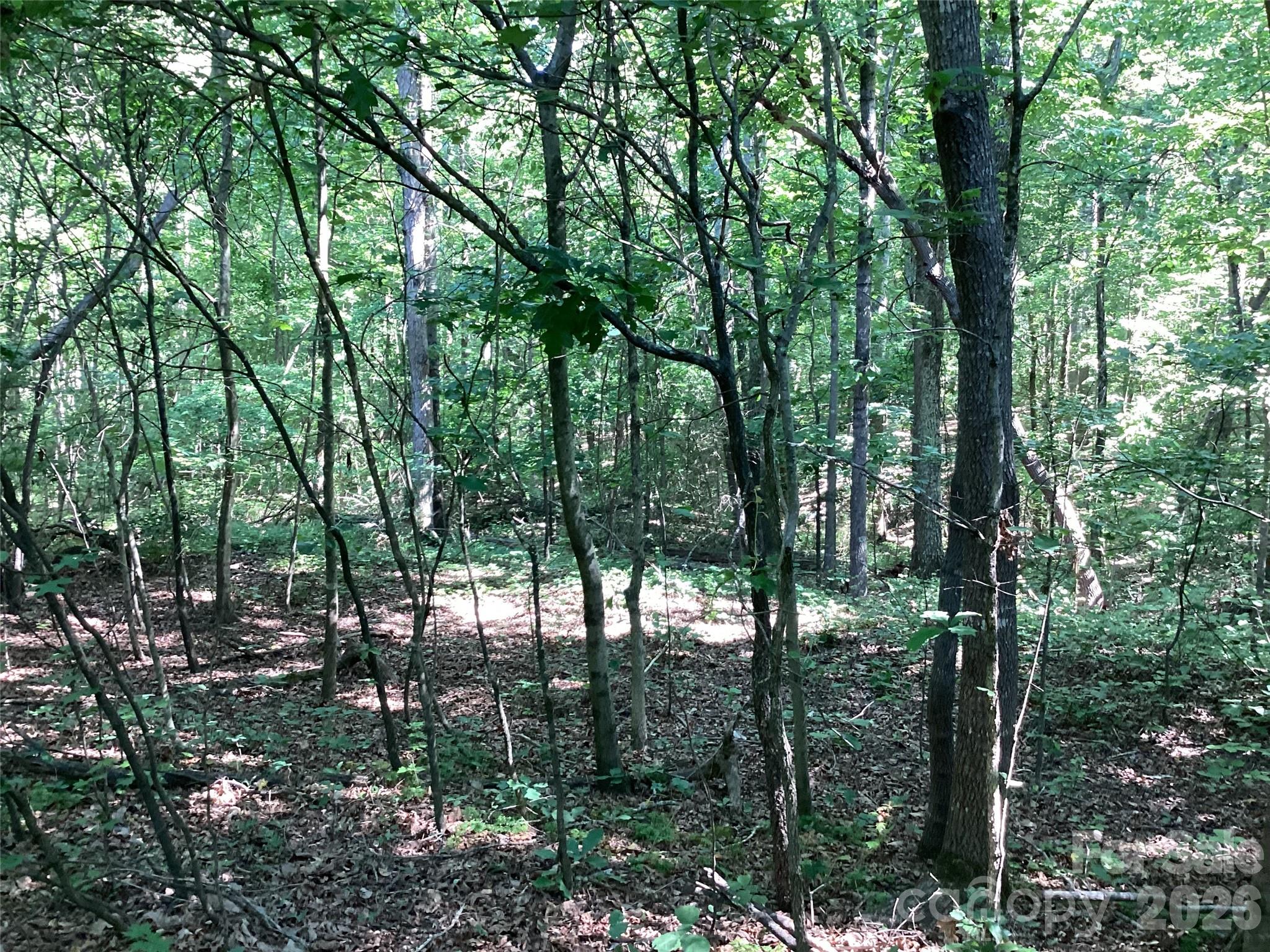 2870 Dunns Mountain Road Salisbury, NC 28146 - Photo 4 of 15