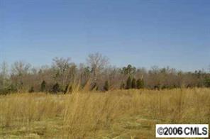 Lot #2 Flay Road Lincolnton, NC 28092 - Photo 3 of 8 Gallery Image 3