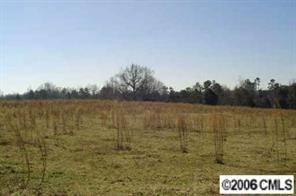 Lot #2 Flay Road Lincolnton, NC 28092 - Photo 4 of 8 Gallery Image 4