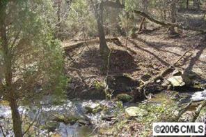 Lot #2 Flay Road Lincolnton, NC 28092 - Photo 6 of 8 Gallery Image 6
