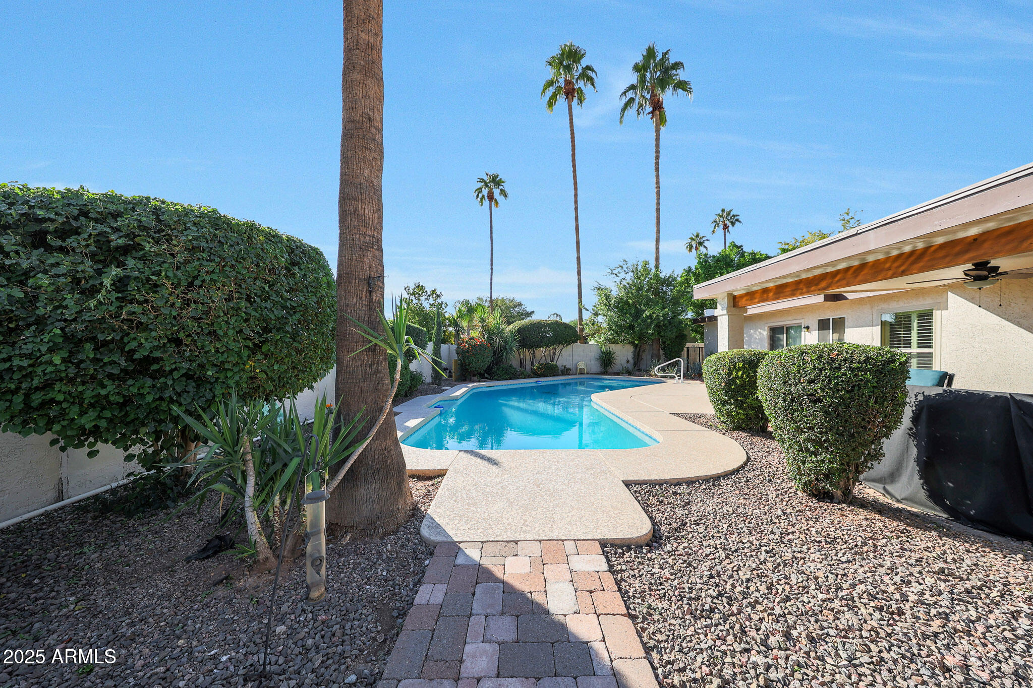 6811 East Hearn Road Scottsdale, AZ 85254 - Photo 29 of 48 Your backyard oasis.