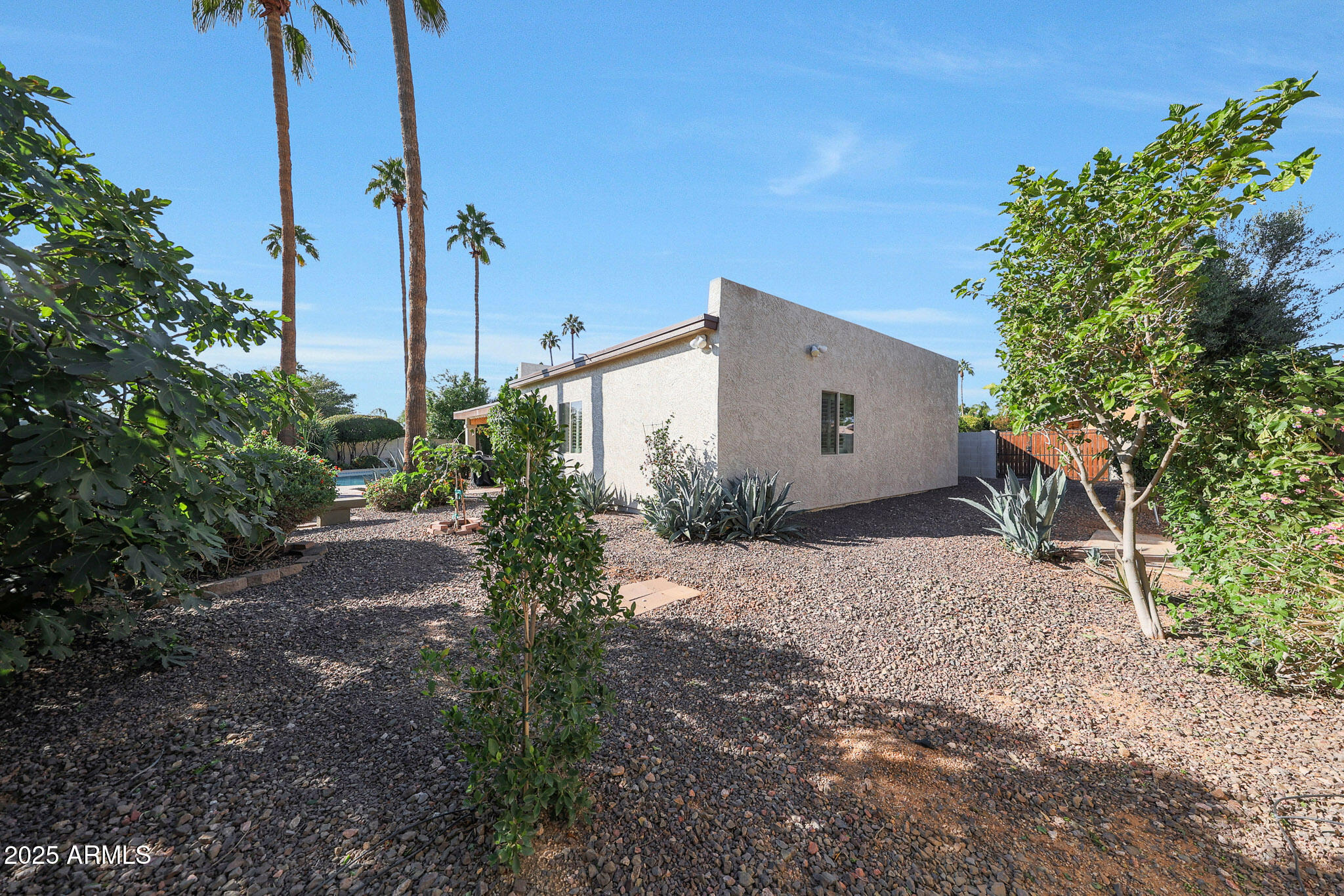 6811 East Hearn Road Scottsdale, AZ 85254 - Photo 36 of 48 Mature landscape including Fig tree