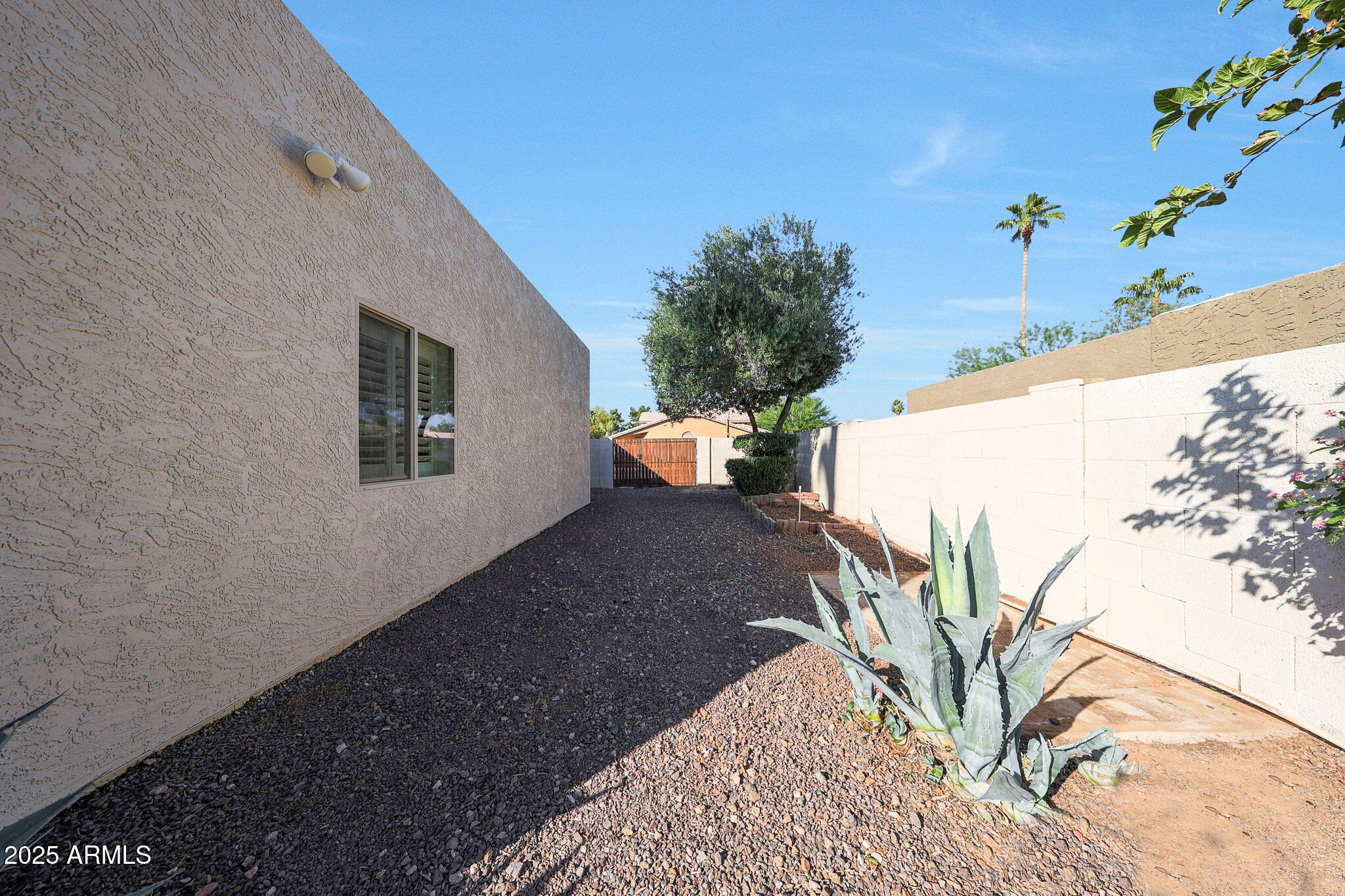 6811 East Hearn Road Scottsdale, AZ 85254 - Photo 45 of 48 Side yard.