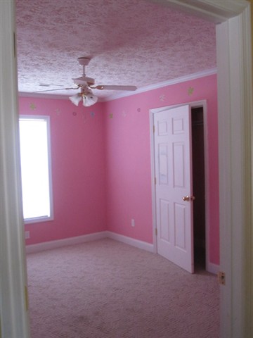 10004 Lake Swamp Road Nichols, SC 29581 - Photo 2 of 9 Gallery Image 2