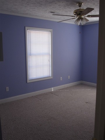 10004 Lake Swamp Road Nichols, SC 29581 - Photo 3 of 9 Gallery Image 3