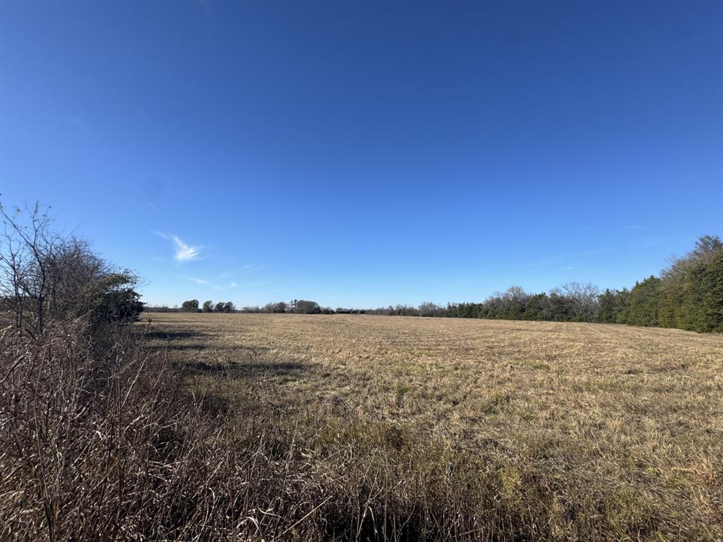 12 Fm 2675 Roxton, TX 75477 - Photo 6 of 8 a view of an ocean and city