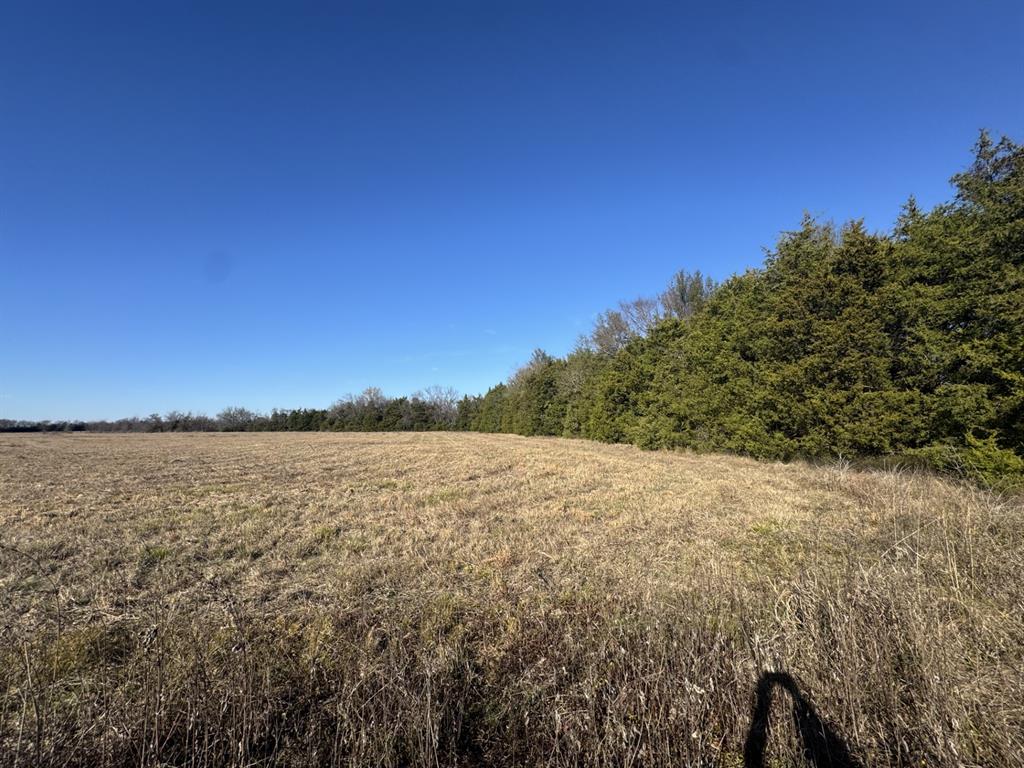 12 Fm 2675 Roxton, TX 75477 - Photo 7 of 8 a view of an ocean and mountain