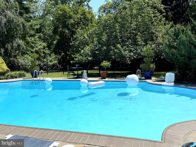 a flower plants with a potted plant on a road