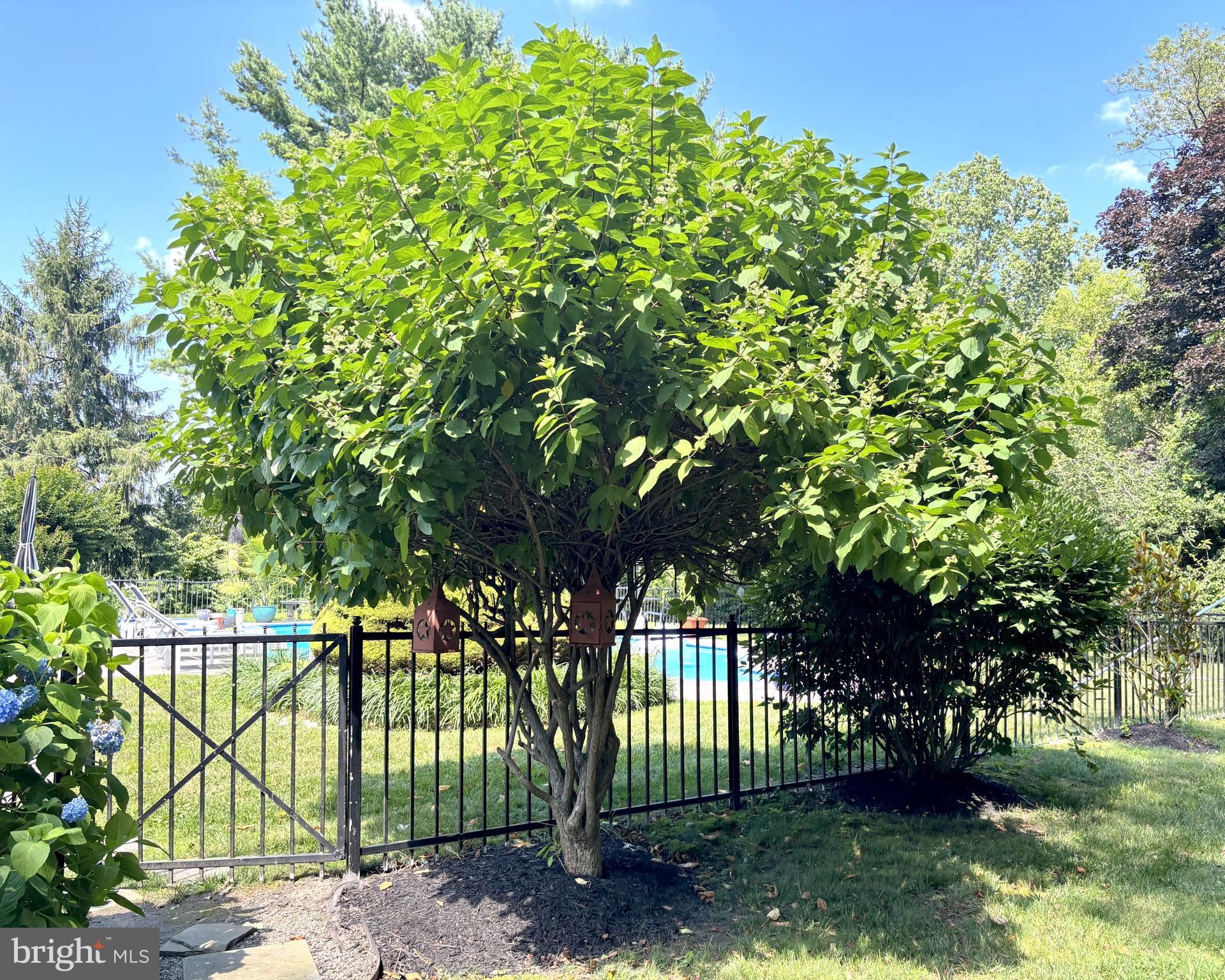 357 Sprague Road Penn Valley, PA 19072 - Photo 40 of 44 a view of a yard with a tree