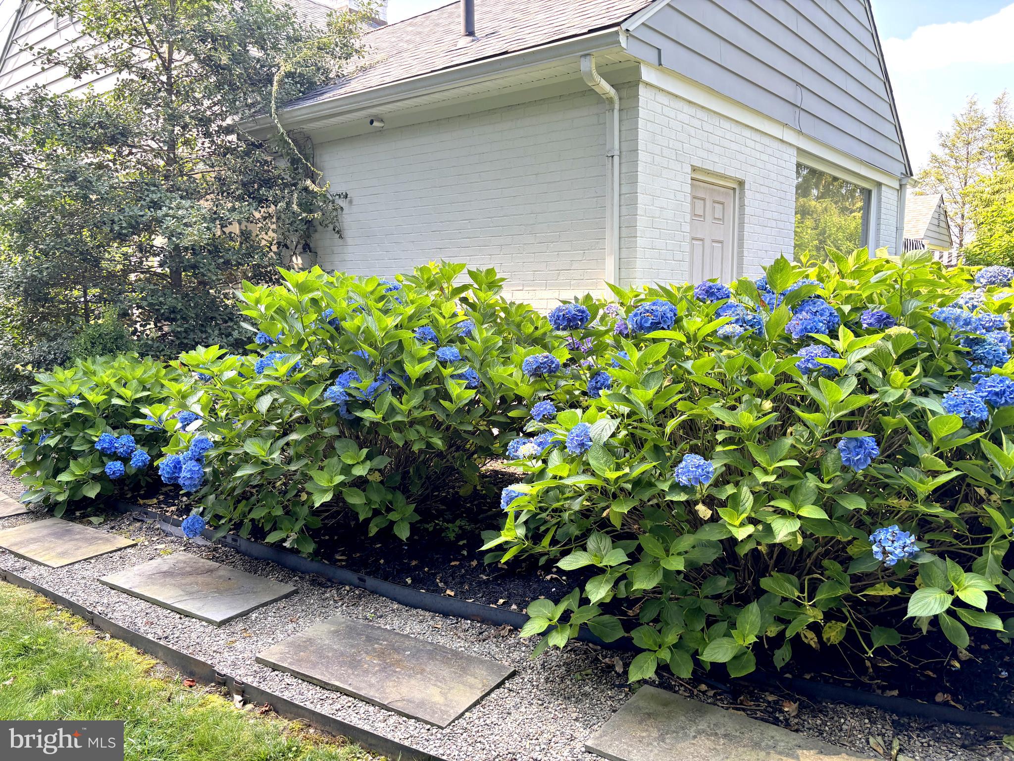 357 Sprague Road Penn Valley, PA 19072 - Photo 42 of 44 a flower plants with a potted plant on a road