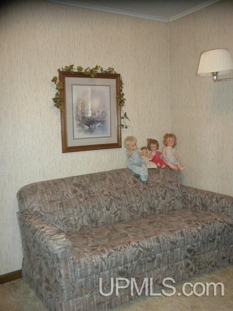 E8062 Sanders Road Bessemer, MI 49911 - Photo 18 of 34 Gallery Image 18