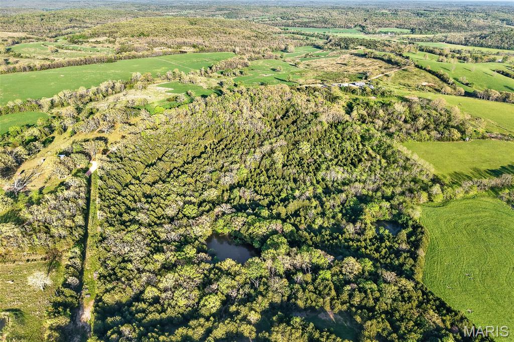 10849 Claxton Road Grovespring, MO 65662 - Photo 15 of 73