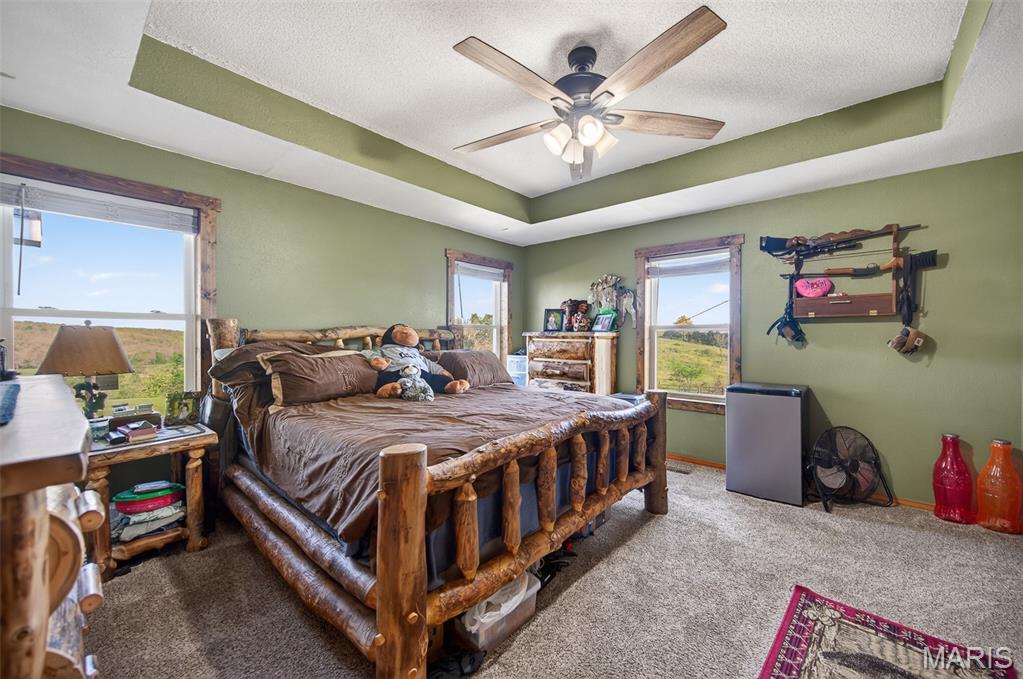 10849 Claxton Road Grovespring, MO 65662 - Photo 30 of 73