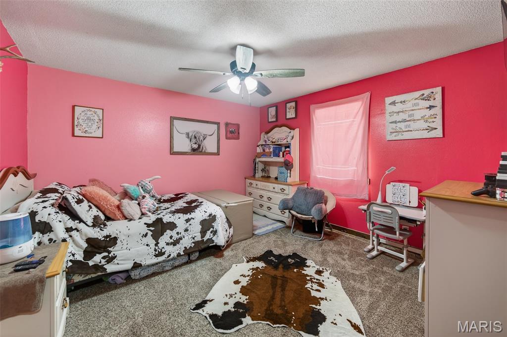 10849 Claxton Road Grovespring, MO 65662 - Photo 44 of 73