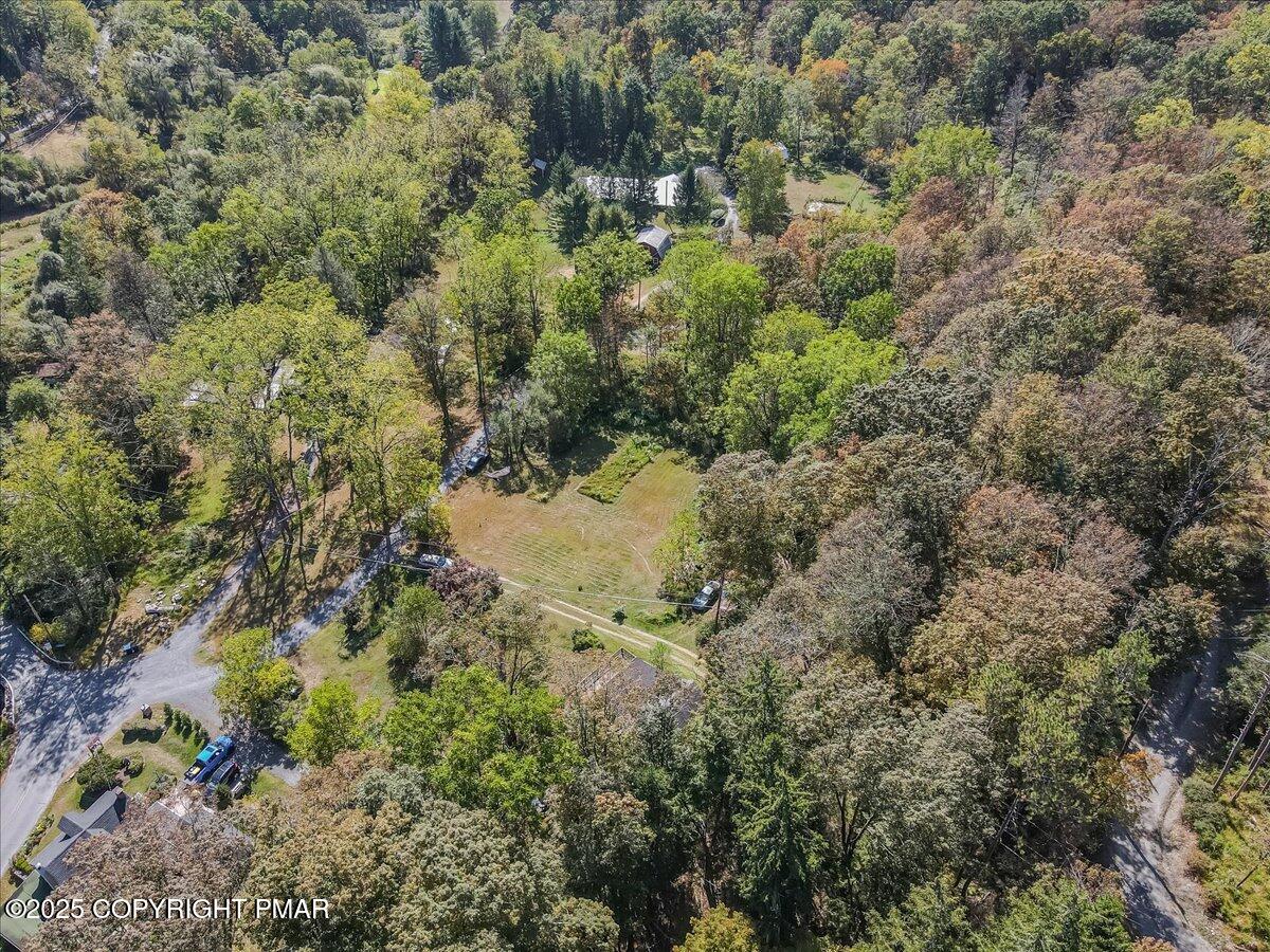 202 Price Road Stroudsburg, PA 18360 - Photo 34 of 45 a view of a forest with a tree