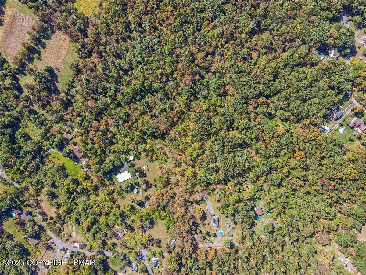 202 Price Road Stroudsburg, PA 18360 - Photo 37 of 45 a view of a tree