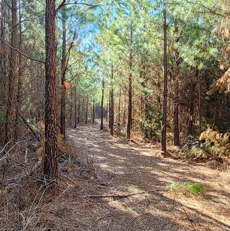 a view of outdoor space