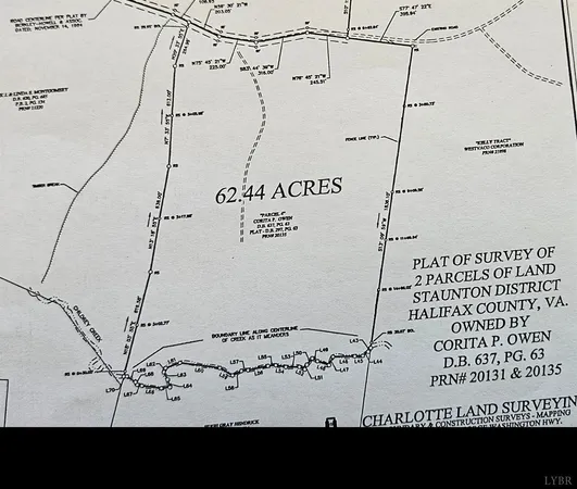 a view of a tree in a yard