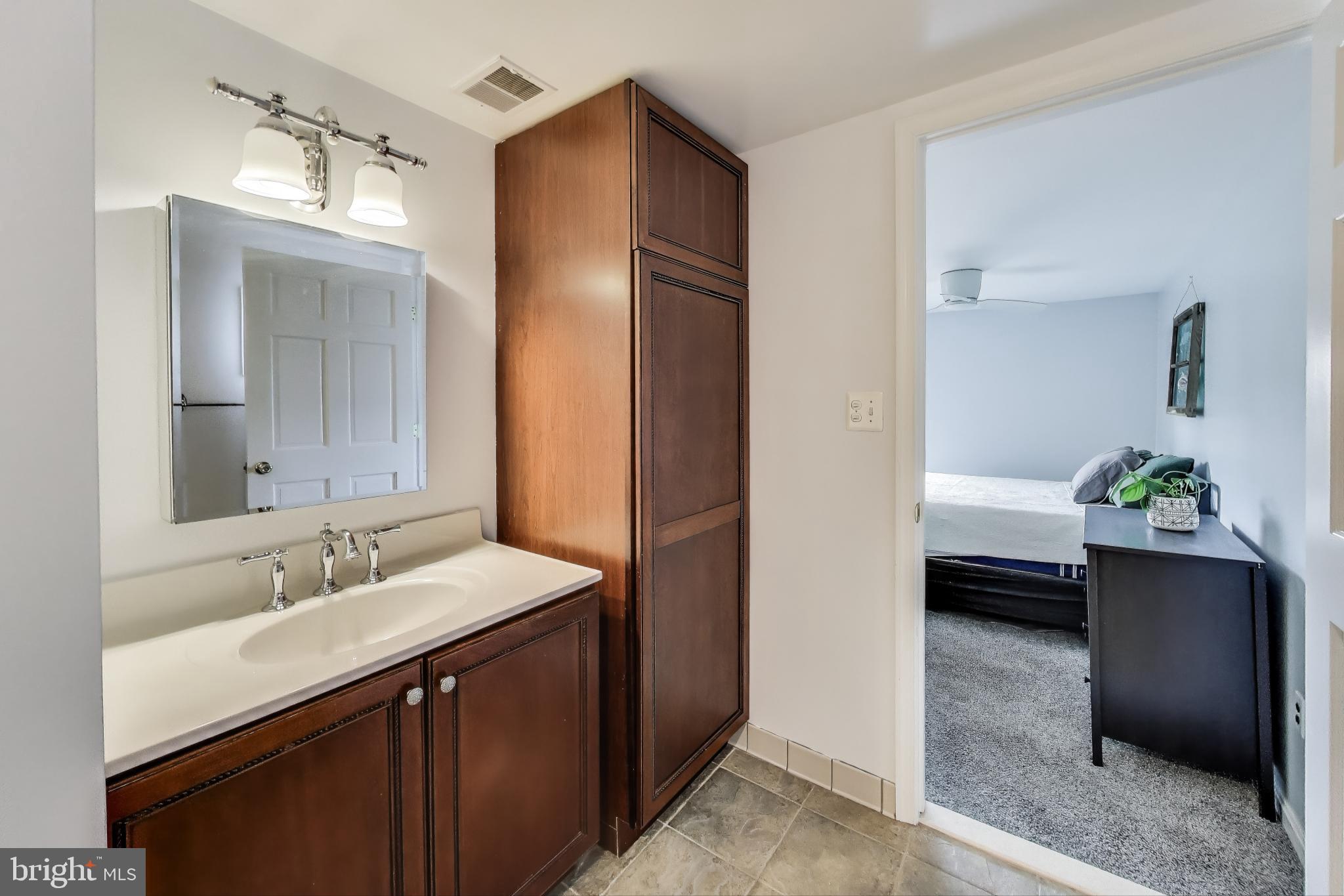 805 Islington Street Silver Spring, MD 20910 - Photo 31 of 50 a bathroom with a sink a potted plant and a mirror