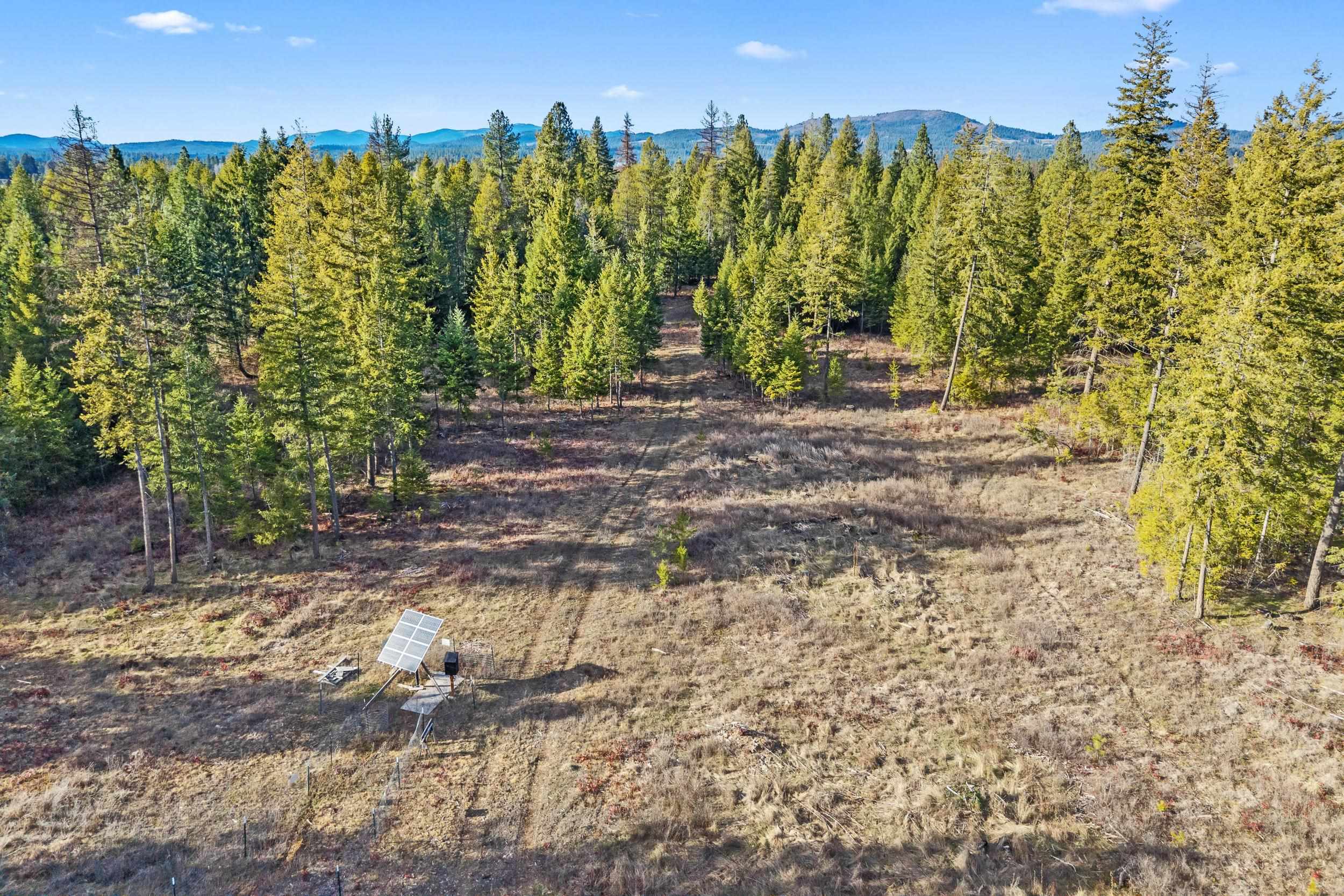 12818 East Bridges Road Elk, WA 99009 - Photo 13 of 25