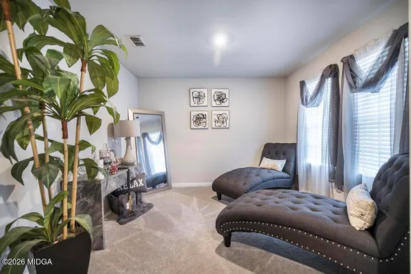 a living room with furniture and a potted plant