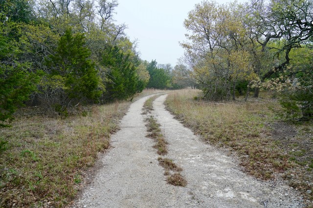 a view of a dirt road with trees in the background