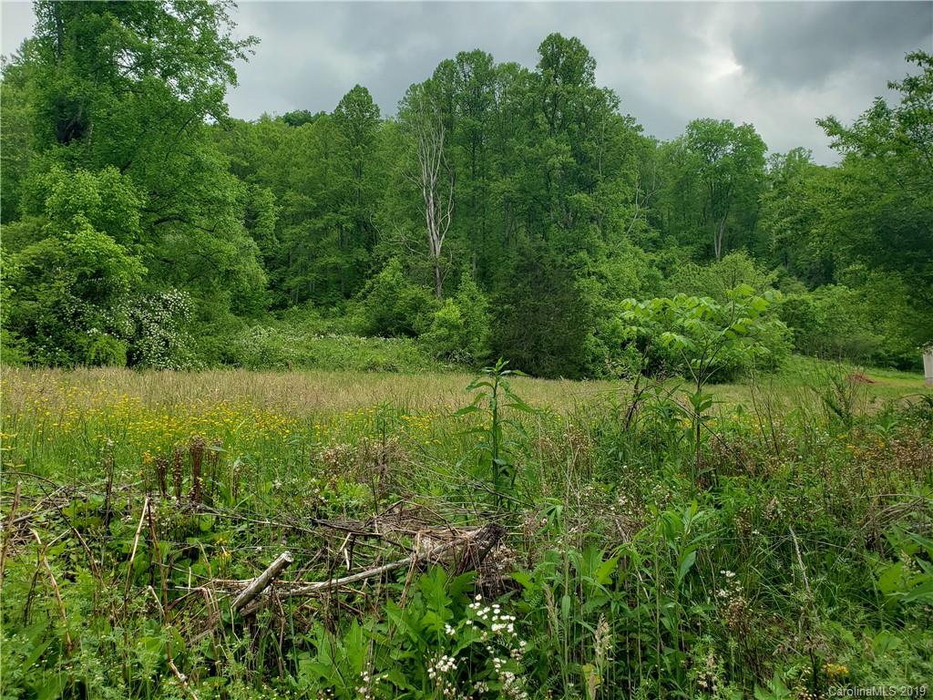 a view of a lush green space