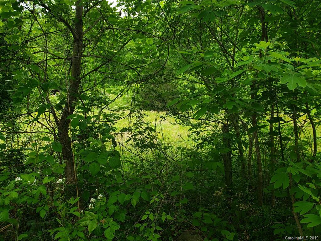 1457 Buff Creek Road Sylva, NC 28779 - Photo 2 of 7 a view of a lush green forest