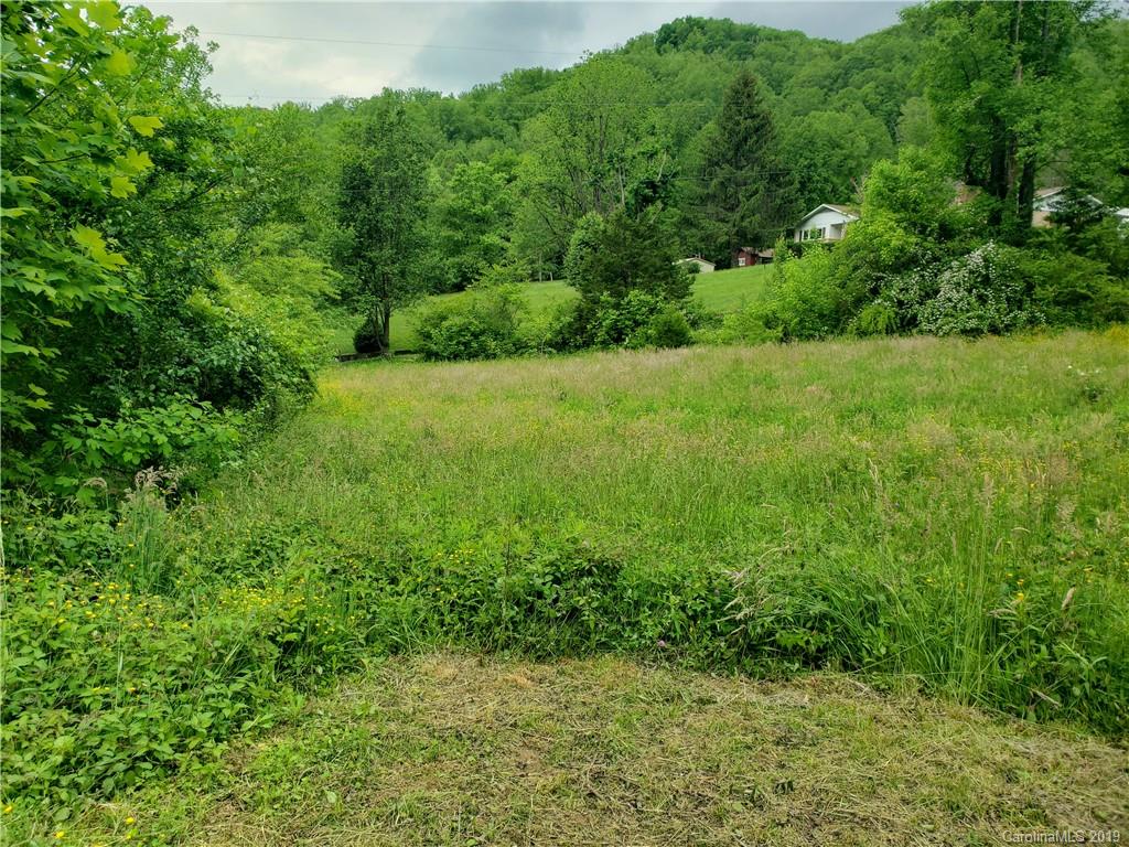 1457 Buff Creek Road Sylva, NC 28779 - Photo 6 of 7 a view of yard with green space