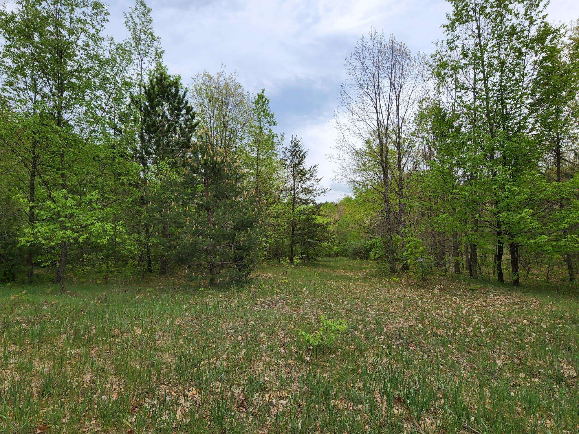 7590 West Phelps Road Manton, MI 49663 - Photo 9 of 11 1900062-8.JPG