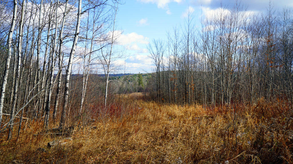 Lot 4.1 Lawlor Ridge Road Benedicta, ME 04733 - Photo 15 of 48 benedicta-me-land-38
