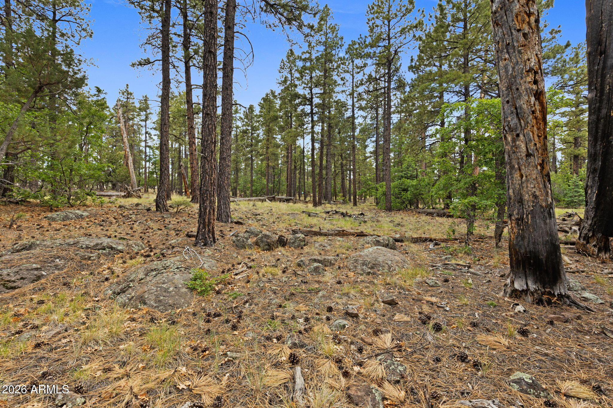 1628 Canyon View Loop, Unit 27 Williams, AZ 86046 - Photo 26 of 27