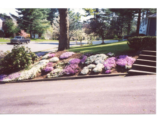 37 Colonial Road Medfield, MA 02052 - Photo 13 of 16 Gallery Image 13