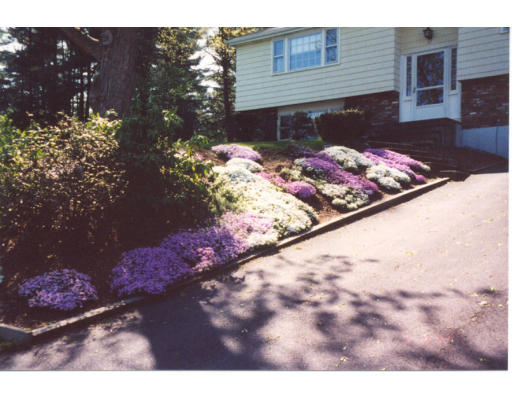 37 Colonial Road Medfield, MA 02052 - Photo 2 of 16 Gallery Image 2