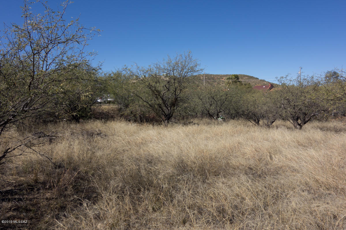 424 Paseo Flamenco, Unit 13 Rio Rico, AZ 85648 - Photo 4 of 4