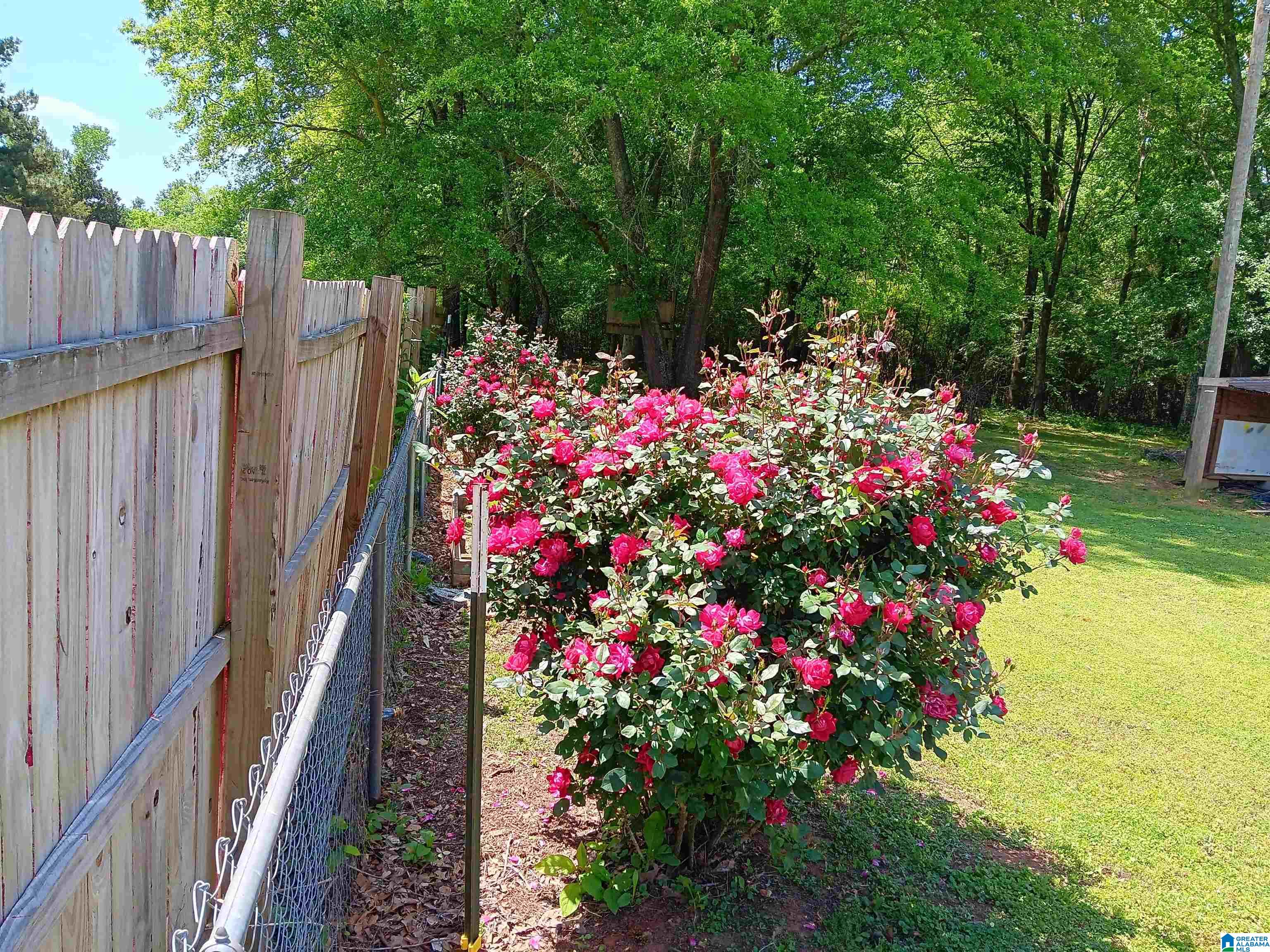 255 Shocco Springs Road Talladega, AL 35160 - Photo 5 of 45