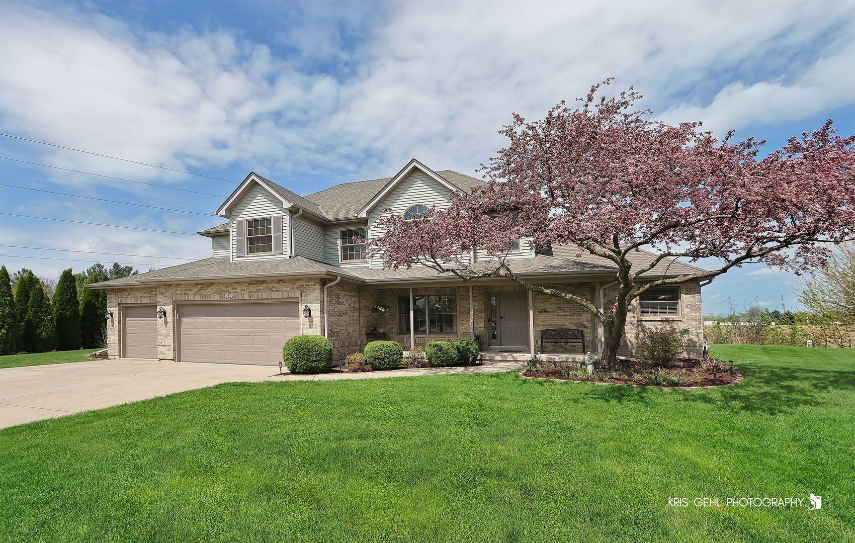 24264 Simo Drive Plainfield, IL 60586 - Photo 1 of 43