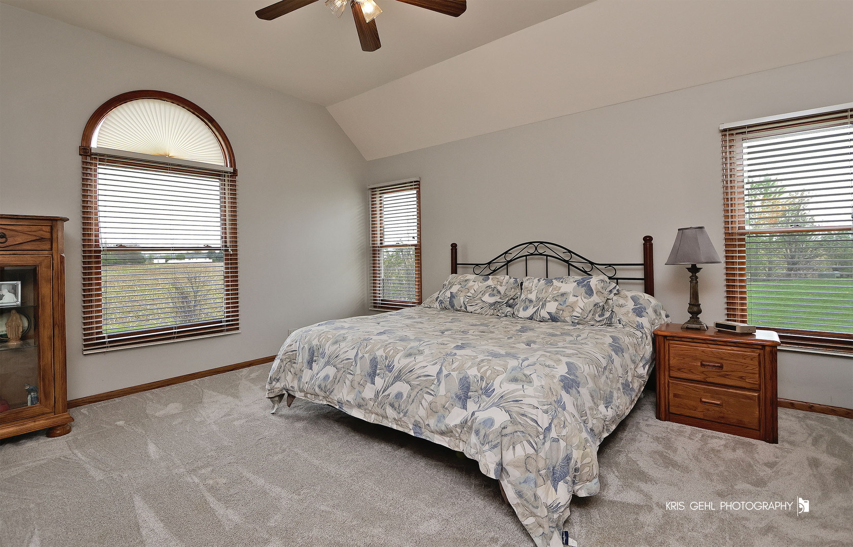 24264 Simo Drive Plainfield, IL 60586 - Photo 14 of 43
