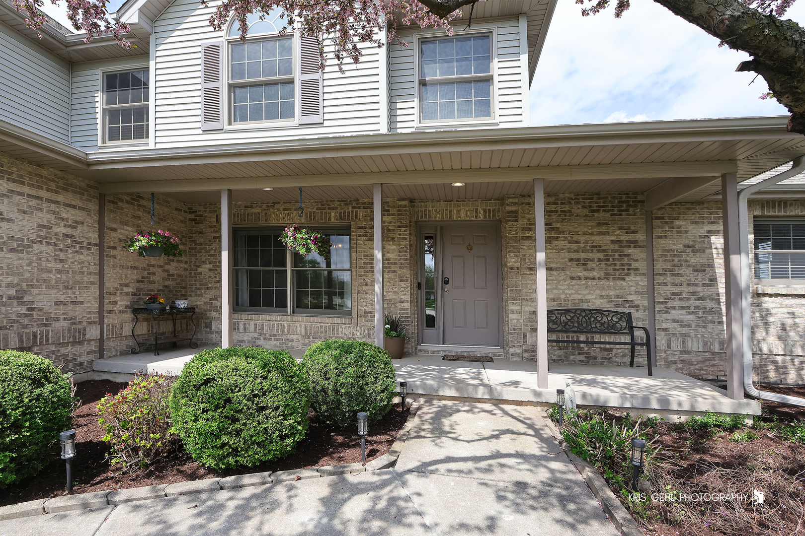 24264 Simo Drive Plainfield, IL 60586 - Photo 2 of 43