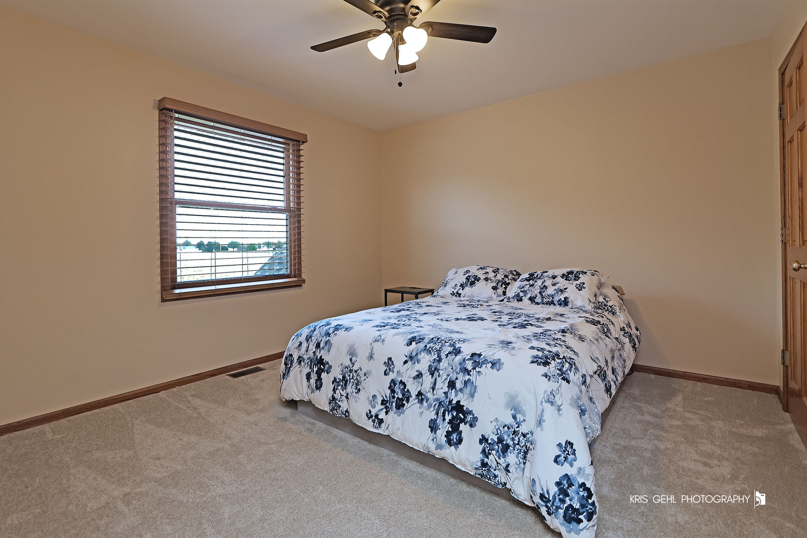 24264 Simo Drive Plainfield, IL 60586 - Photo 23 of 43