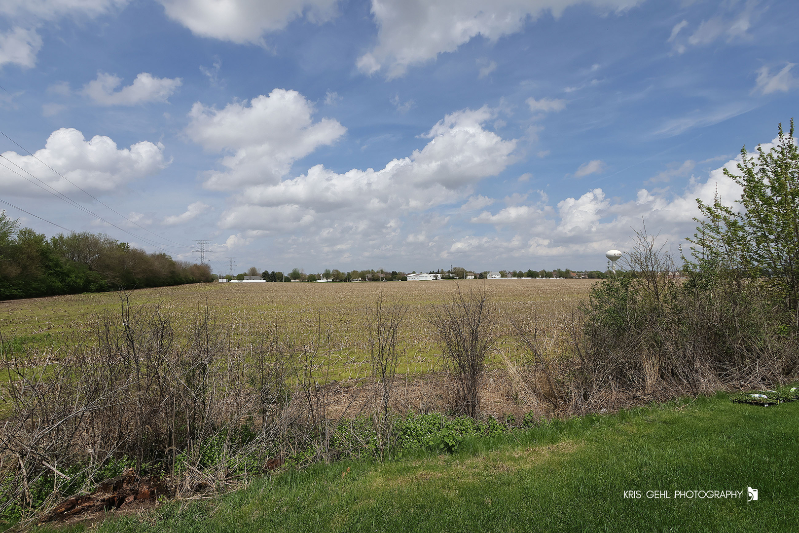 24264 Simo Drive Plainfield, IL 60586 - Photo 31 of 43