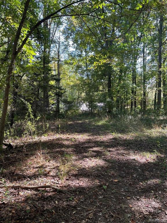 39 Walsh Road Whitmore Lake, MI 48189 - Photo 1 of 8 Gallery Image 1